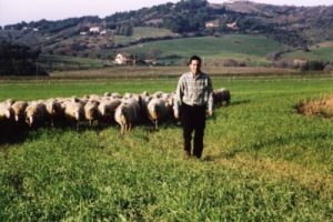 Premio formaggio biologico