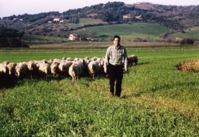 Premio formaggio biologico