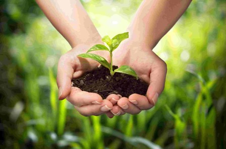 Laurea_agricoltura sostenibile