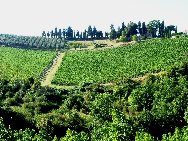 San Casciano_Biodistretto