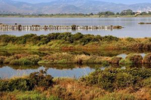 Foto Comune di Orbetello