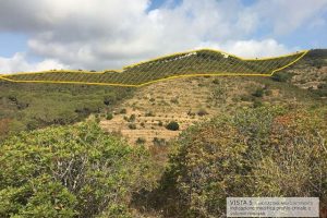 Il crinale di collina che sarebbe destinato a scomparire (Legambiente Arcipelago Toscano)