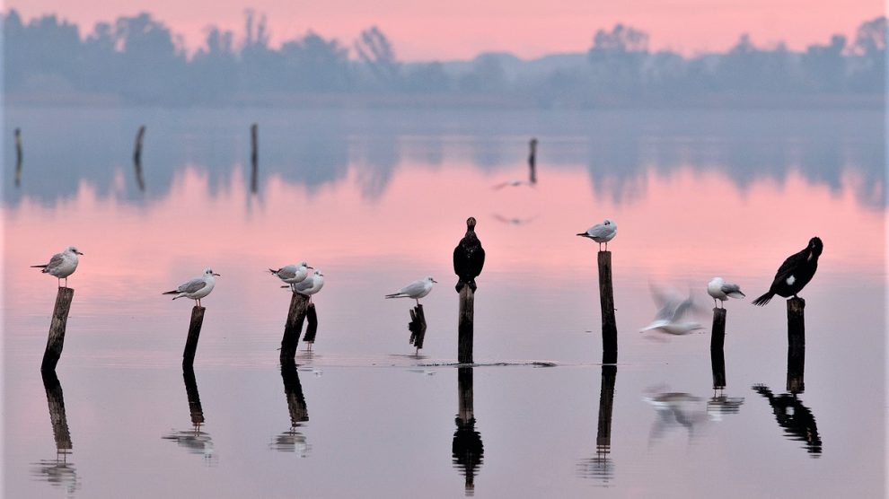 Fotografia di Pietro Fadda