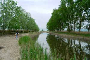 Il padule di Fucecchio (foto Legambiente Versilia)