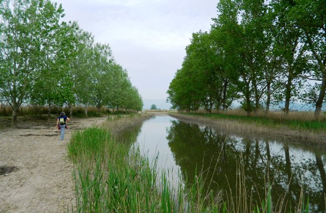 Il padule di Fucecchio (foto Legambiente Versilia)