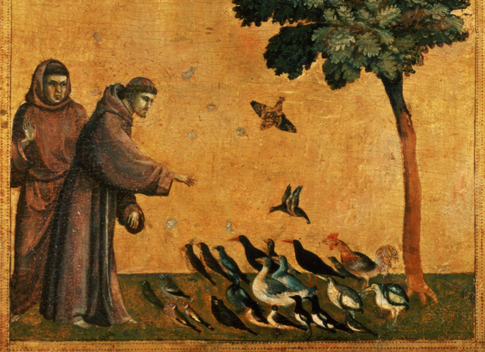 Un particolare dell'opera "La predica agli uccelli" di Giotto, 1295-1299.