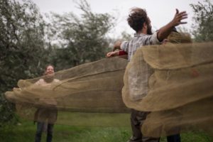 Sì toscana a sinistra_agricoltura contadina