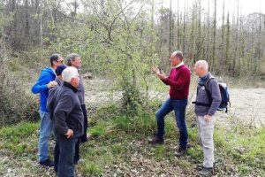 Foto Comune di Tavarnelle Val di Pesa