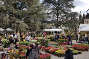 fiorinfiera