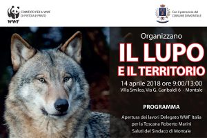 lupo-wwf-prato-pistoia-ambiente-toscana