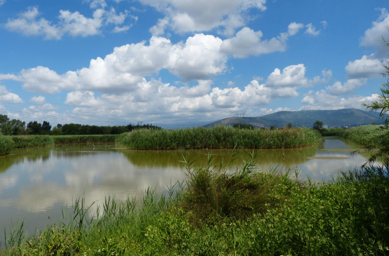 Dettaglio del Lago Calice.
(Foto di C. Scoccianti, per concessione wwf.it/toscana).