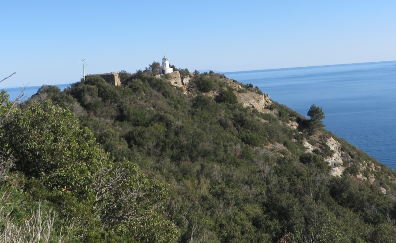 Isola d'Elba, Capo Poro (foto Legambiente Arcipelago Toscano)