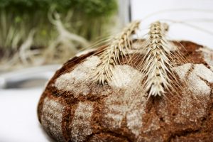 pane-grani-antichi-ambiente-toscana