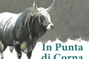 In punta di corna