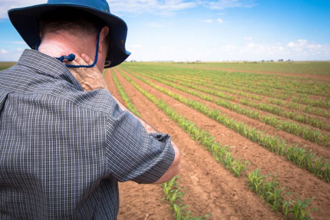 agricoltura-clima-ambiente-toscana