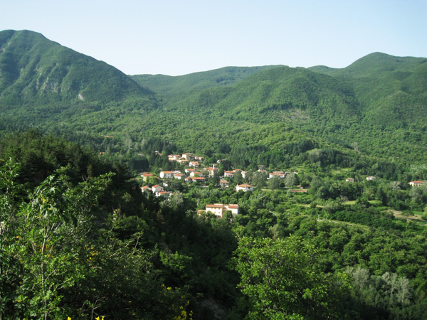 Castagno d’Andrea. (Foto da www.parcoforestecasentinesi.it).