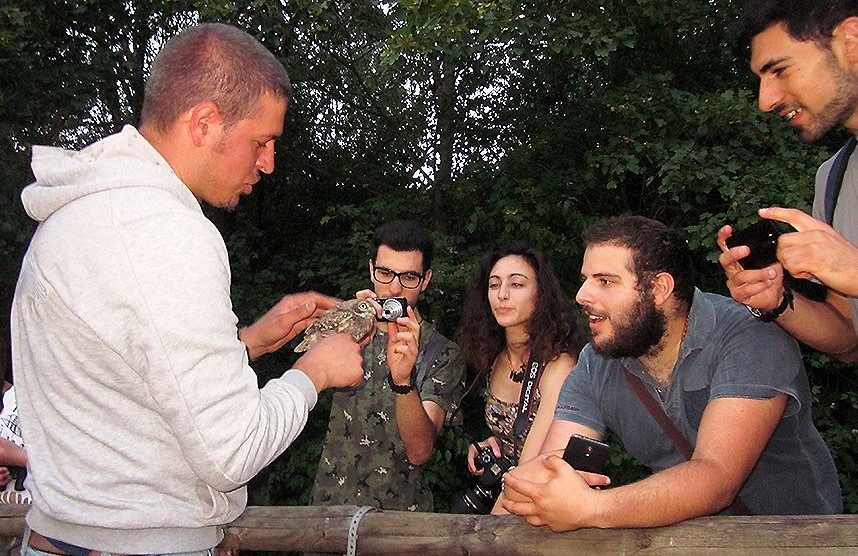 Arnovecchio, liberazione di una civetta (foto Enrico Zarri)