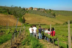 Giovani studenti di Chiantiform (foto comune di San Casciano)