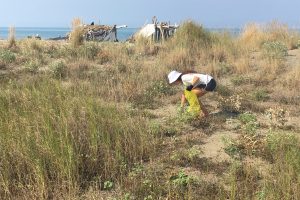 Foto da Parco della Maremma