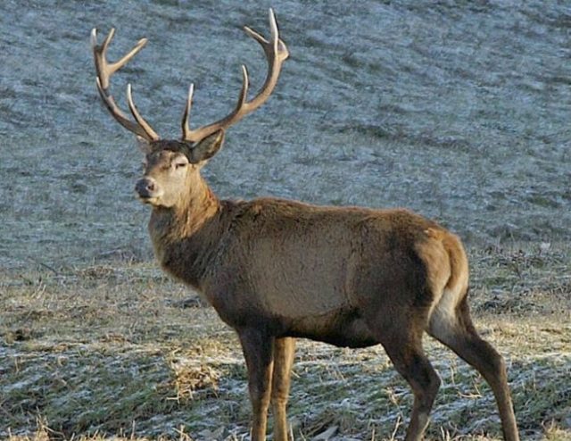 Foto di Giordano Giacomini