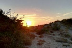 Dune_tirrenia_Tramonto