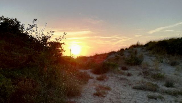 Dune_tirrenia_Tramonto