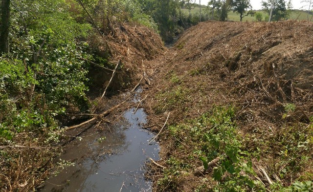 Il torrente Sorra dopo la "ripulitura" degli argini (foto Wwf Toscana)