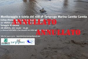 ANNULLATO Corso tartarughe