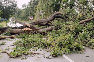 Foto Protezione civile Regione Toscana