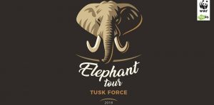 elephant tour