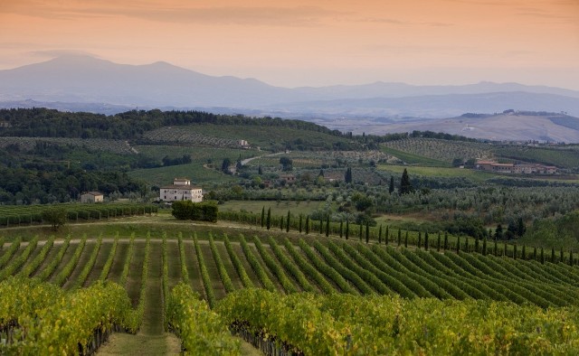 Chianti-Classico-panorama