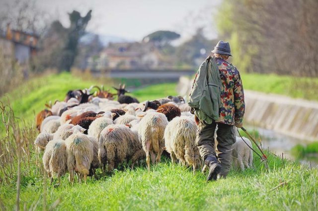 Foto da Cia Toscana