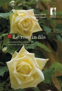 Le-rose-in-fila-firenze-toscana-ambiente