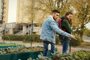 L'orto ecosostenibile alla residenza universitaria di viale Morgagni,