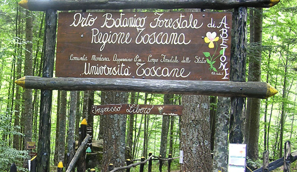 Foto da www.visittuscany.com