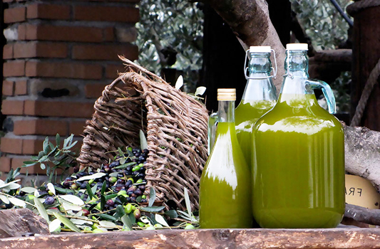 olio-olive-toscana-ambiente