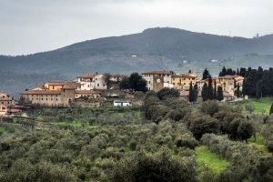 Carmignano_rinnovo ordinanza anti glifosato