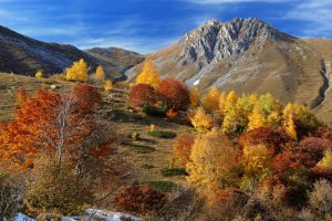 Foto dalla mostra "Una montagna di vita" al Museo di Storia Naturale dell'Università di Pisa