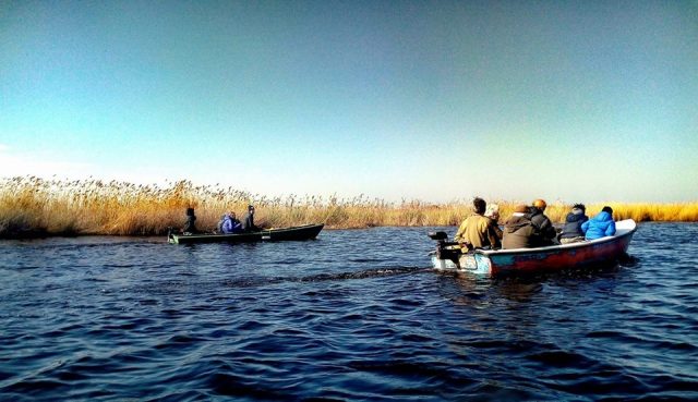 Foto dalla pagina Facebook dell'Oasi Lipu Massaciuccoli