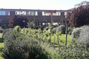 Terza Piazza Coop in piazza Pietro Leopoldo a Firenze. (Foto dall'omonima pagina Facebook).