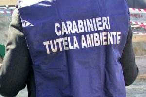 carabinieri-noe-toscana-ambiente