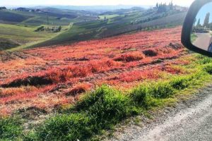 Foto dalla pagina Facebook del Bio-Distretto del Montalbano