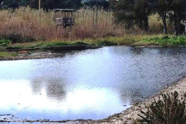 Zona umida di Mola