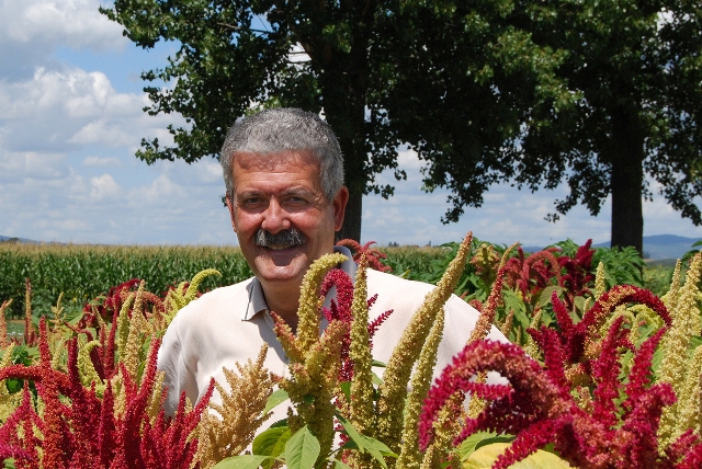 Paolo Casini, il docente di Agronomia che ha coordinato gli studi sulla pianta.