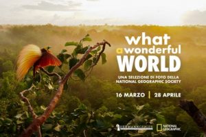 What a wonderful World_Cecina