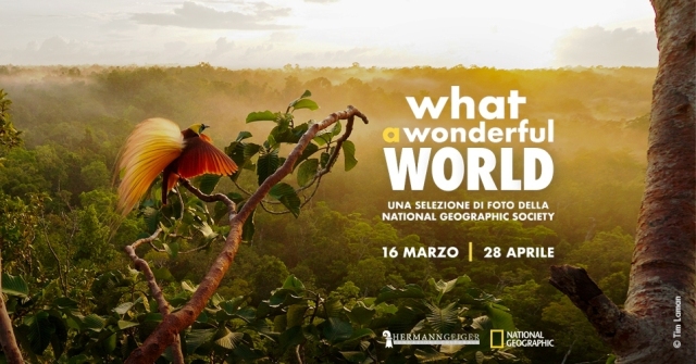 What a wonderful World_Cecina