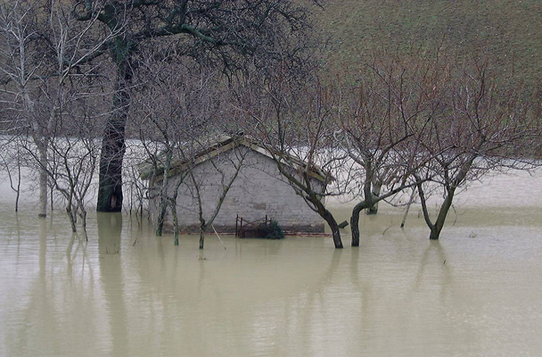 Foto da www.protezionecivile.gov.it