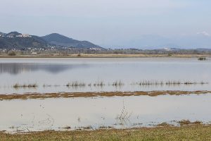 Lago di Bientina. (Foto da it.wikipedia.org).