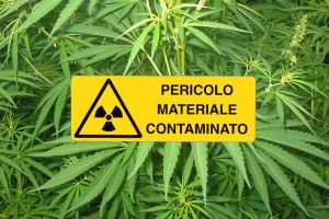 fitoterapia-contaminazione-toscana-ambiente