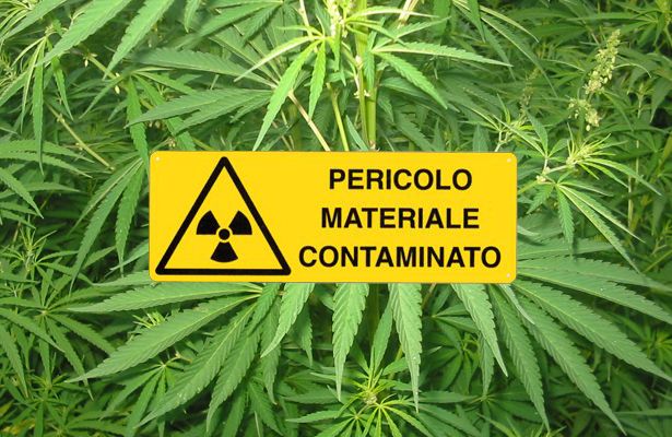 fitoterapia-contaminazione-toscana-ambiente